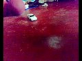initial d (trueno 86) initial-d