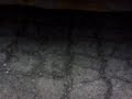 DSC00157