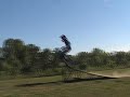 Pit Biking