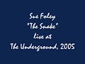 blues guitarist sue foley performs 