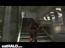 killing frenzy
