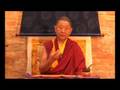 RINGU TULKU - THE 4 REMINDERS