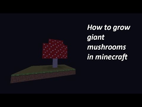 how to harvest giant mushroom