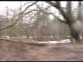 Consumed Land