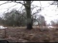 Consumed Land
