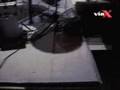 Lucybell Rojo Eterno vivo (viax)