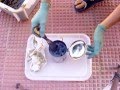 Pintar cuadros con Petrolart proceso reciclaje chapapote, chapapoman