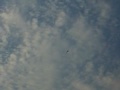 SHK Flight 2