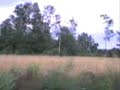 Tr?ba powietrzna Kolonia Drat�w / Krzcze? 2007 (Skutki)