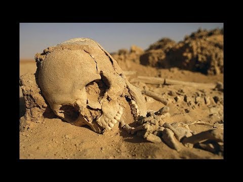 Первые люди в Америке