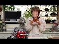 鮭の粕汁の作り方 体が温まる酒粕を使ったレシピ | Cooking with Dog 鮭キムチ