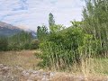 Isparta Yeni?arbademli ?l�esi-2(N.Ya?ar AKG�L\