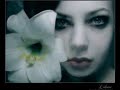 Tragico Ballet - ProhibidaMirada perversa intriga,seducen mis manossecretos tras las retinas,incitan mis labiosfrágiles y precarios,entre cristales reflejados.Escurridiza y siniestra,mis ojos secuestrasla tentacion de la nocheimpregnando pasionestu saliva en mi cuello,la intriga rompe tu misterio.Prohibida, mi alucinante líquida ninfafrágil y tierna, sombría,excesiva entre tus besosestre tus besos la mentiraprohibida, mi amorosa fruta podridami anfetamina de pasiones, erótica, locami dolorosa princesa prohibidaprohibida ¡prohibida!Soy tan débil y el sabor de tu pecadoes veneno, es lascivia,es la ternura prohibidaes la inocencia, es la angustia,la mentira, la pasióndesorbitada en este hechizo,en este hechizo estás prohibidaprohibida ¡prohibida!Mirada perversa intriga,seducen mis manossecretos tras las retinas,incitan mis labiosfrágiles y precarios,entre cristales reflejados.Prohibida, mi alucinante líquida ninfafrágil y tierna, sombría,excesiva entre tus besosestre tus besos la mentiraprohibida, mi amorosa fruta podridami anfetamina de pasiones, erótica, locami dolorosa princesa prohibidaprohibida ¡prohibida!