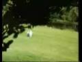 spaceman in king arthur's court pt. 2