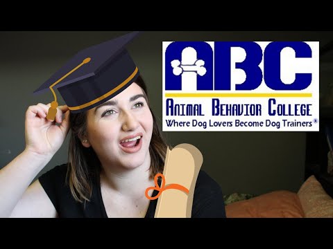 Answering Your Animal Behavior College Questions As A Graduate