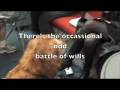 videos de NaNoWriMo Write-In (Melbourne)