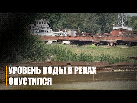 Это естественные процессы. Специалисты отмечают снижение уровня воды в реках видео