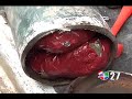 DEC 23 - ALTO AL CRIMEN.flv