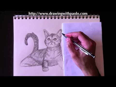 Drawing domestic animals with Paolo Morrone