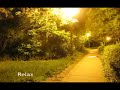 night-in-targu-mures.html