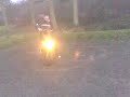 peds at salcey forest