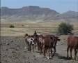 17 June World Day to Combat Desertification