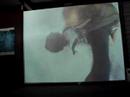 nitch-skydiving.html