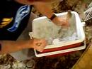 Beer Beneath The Ice