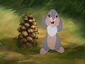 Hampsterdance Animash Hampsterdance Animash