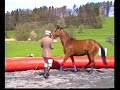 Vorschau: Fredy Knie\