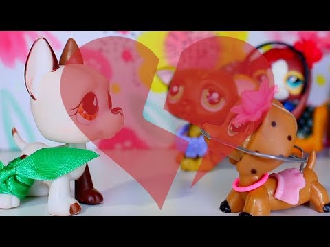Lps My Hopeless Romance Season 3 Episode 5 {After The Party}