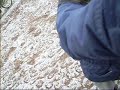 Nasse första gången uppsuttet över bommar/hinder!