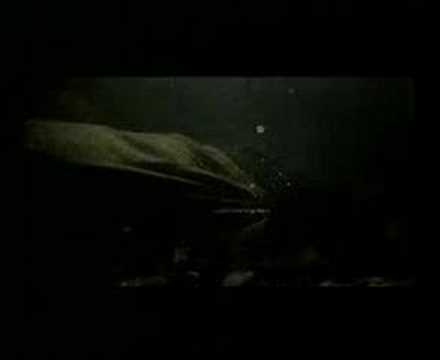 Royal Marines Recruitment Advert