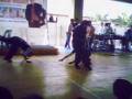 videos de south district siervos