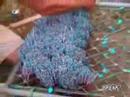 8500 bottle rockets 8500 bottle rockets