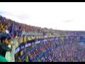 Tigres Libres y Lokos Tigres Libres y Lokos