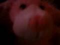 videos de Yahhhhh!