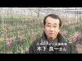 しのうどん動画10