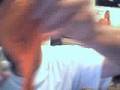 videos de bought new big balloons while on vaction