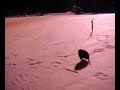스키 로봇-무주리조트 실험 2(2005 2월)