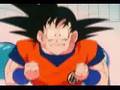 Invalid Future DBZ