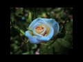 Pentax Snaps Australia 'First Exposure Project'