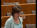 Diana wallis on priorities of the ep