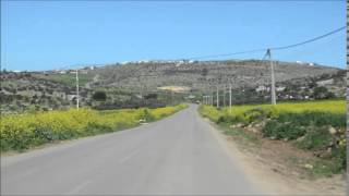 الطريق الى فقوعة الطريق الى فقوعة