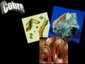 los metales del grupo 7