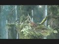 Final Fantasy 13 E3 Trailer (Higher Quality)