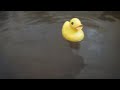Click here to watch this video アヒル隊長ゆるり～＠奥会津、膜張りの玉梨共同浴場を行く。