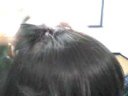 CorTANdho a lUcy xD CorTANdho a lUcy xD