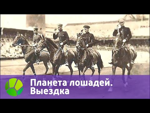 Планета лошадей. Выездка