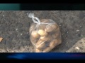 Emergencias 911 Casos de la Vida Real El Salvador (24 2011)